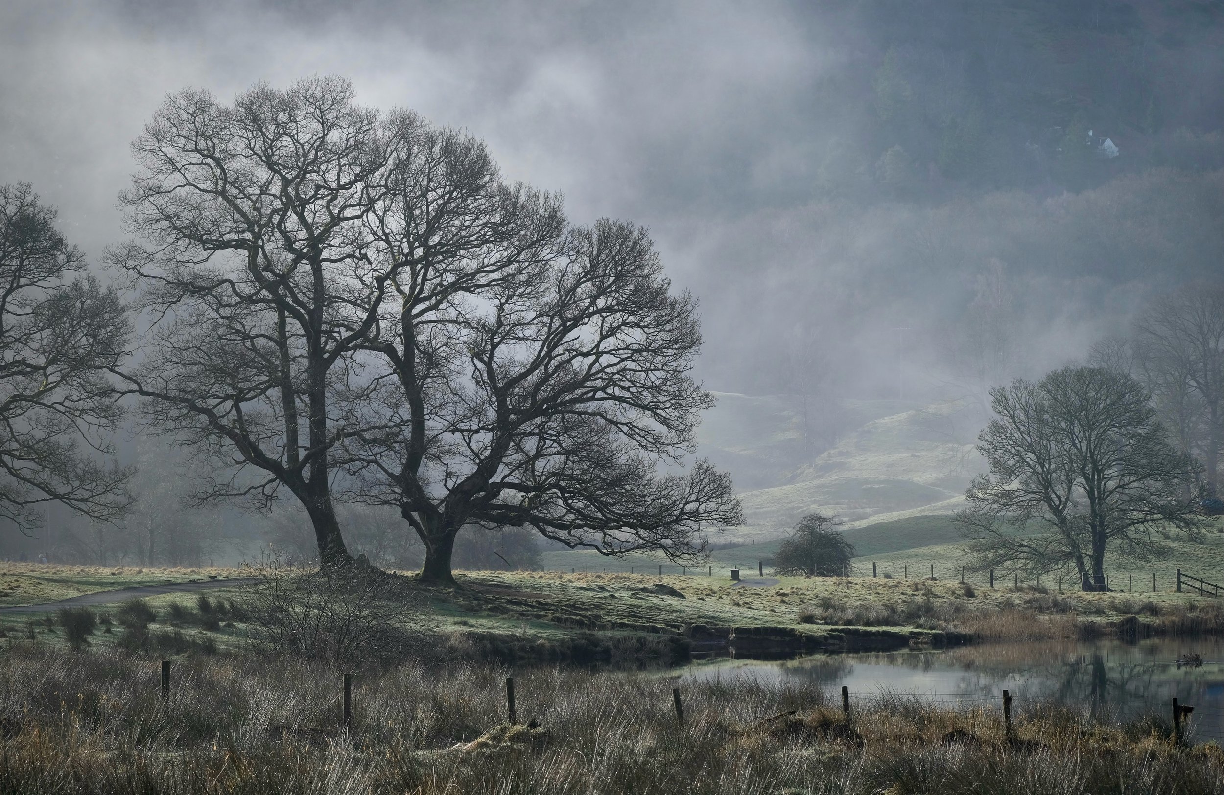 Misty morning at Elterwater .jpeg