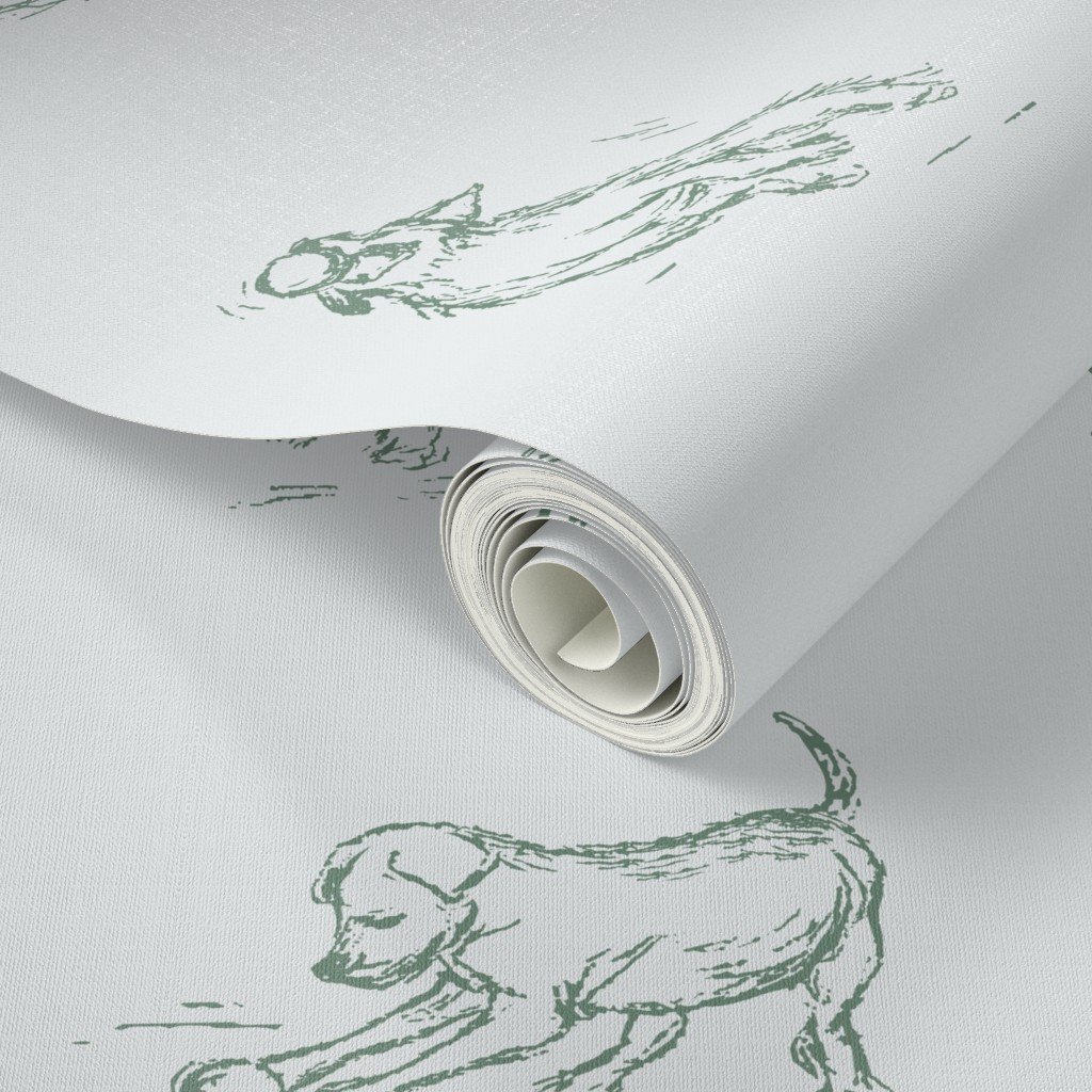 dog wallpaper for veterinarians office & dog lovers. Boxer, golden retriever, corgi wallpaper