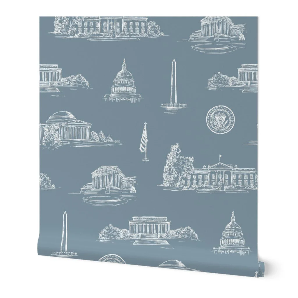 washington-dc-toile-wallpaper.jpg