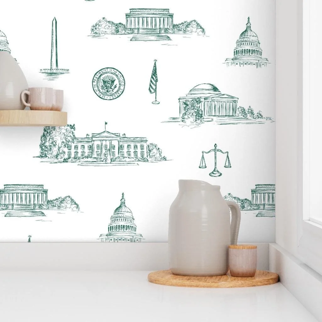 green-washington-dc-landmarks-toile-wallpaper-kitchen-shelf.jpg