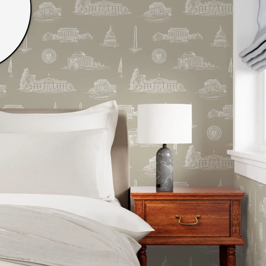 washington-dc-toile-wallpaper.jpg