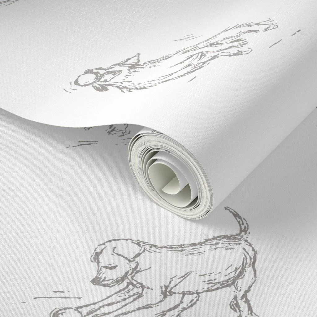 bespoke-retriever-canine-wallpaper