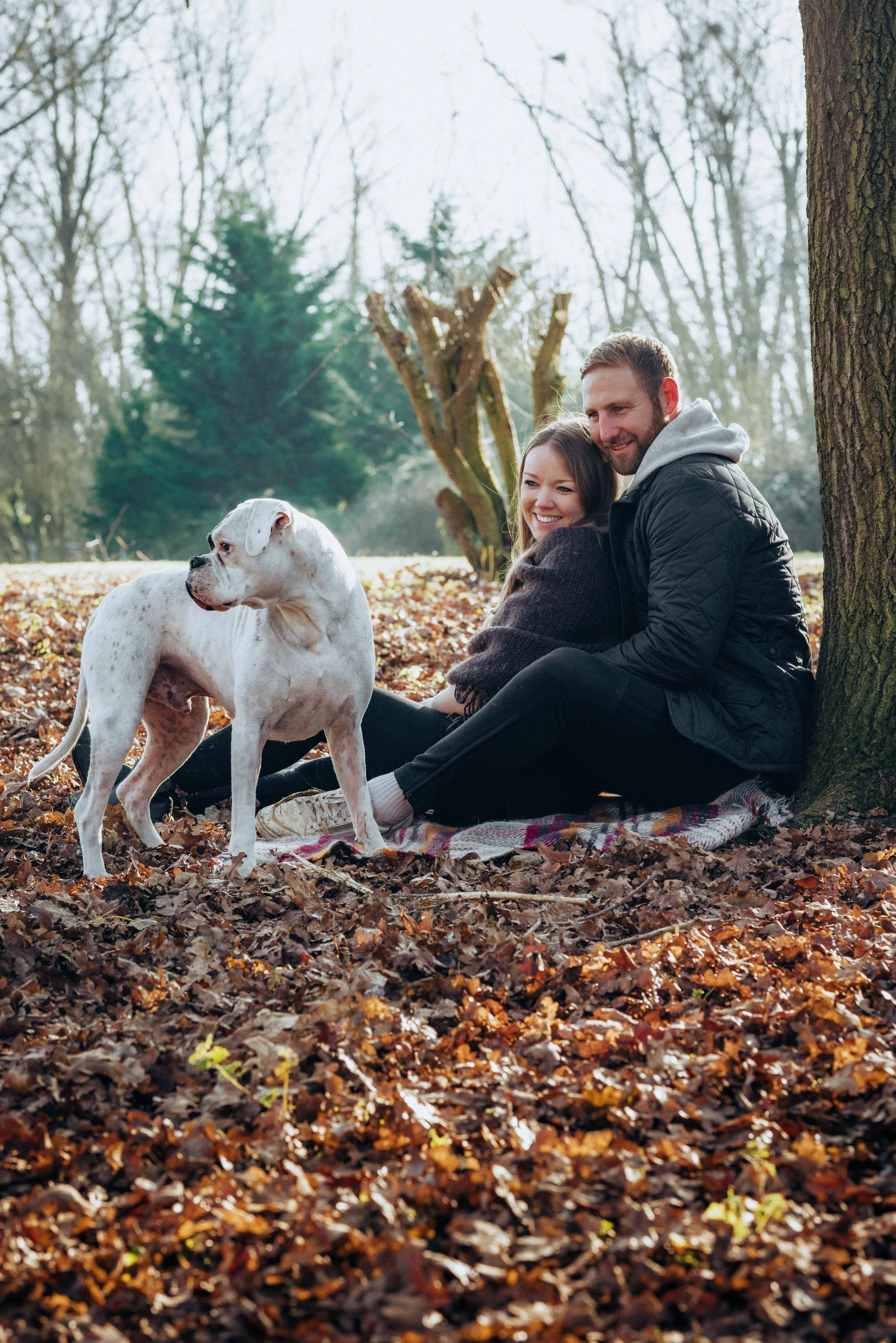 couple sitting next to tree with their dog in autumn for couple session