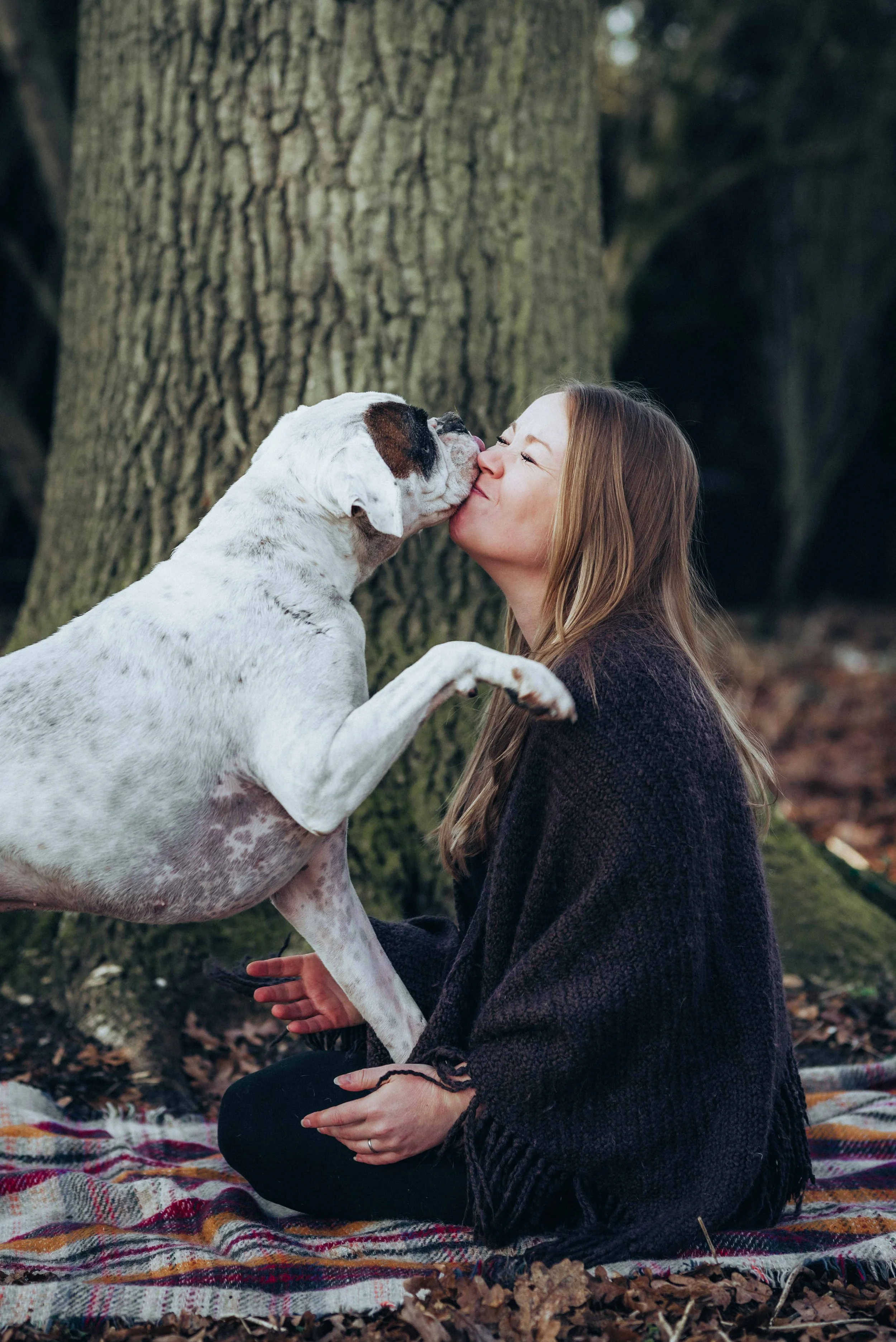 A white dog is kissing a girl and putting his paw on her shoulder during a couple session near Colchester