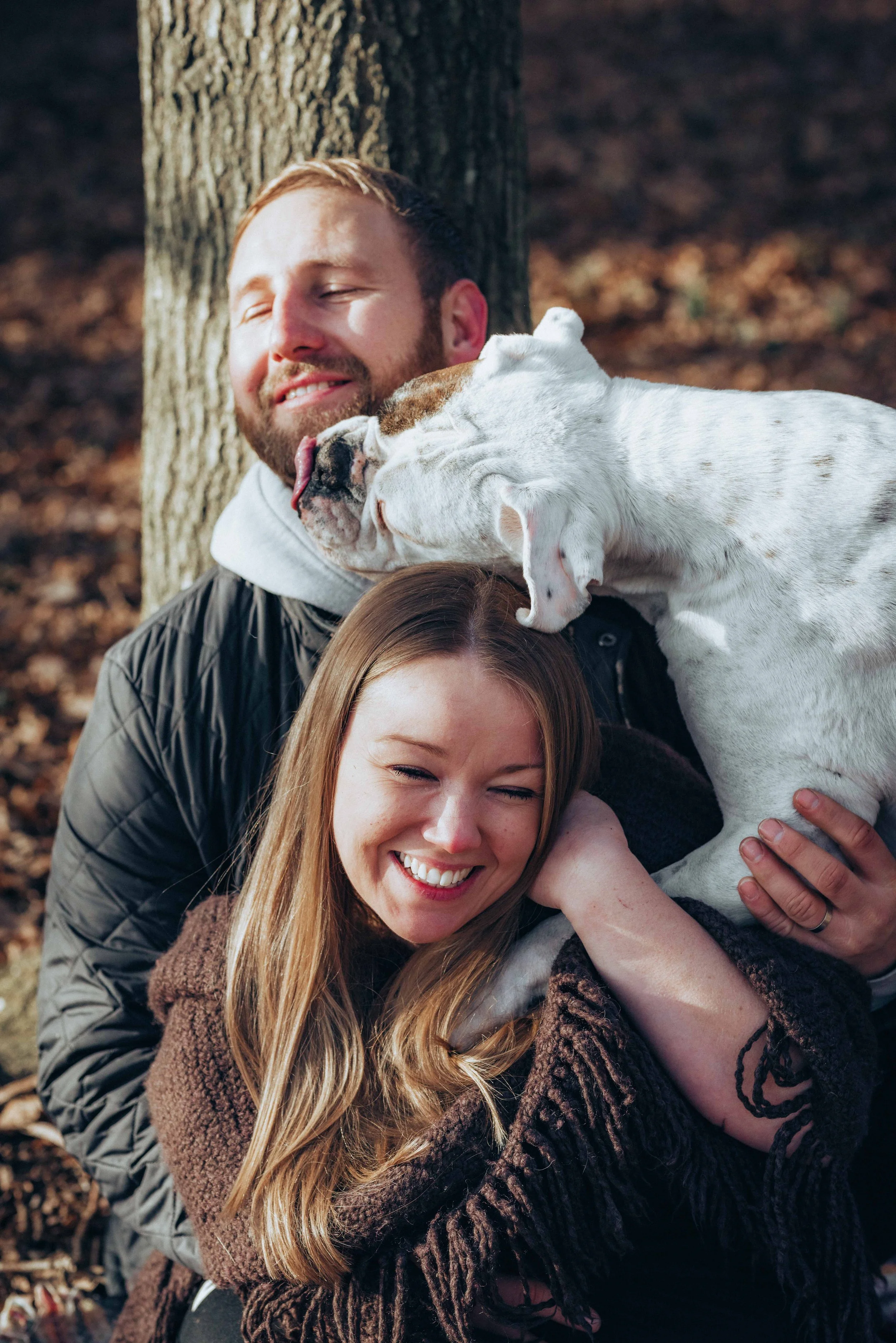 a couple sitting and leaning against a tree for a pre wedding session with their white dog near Colchester