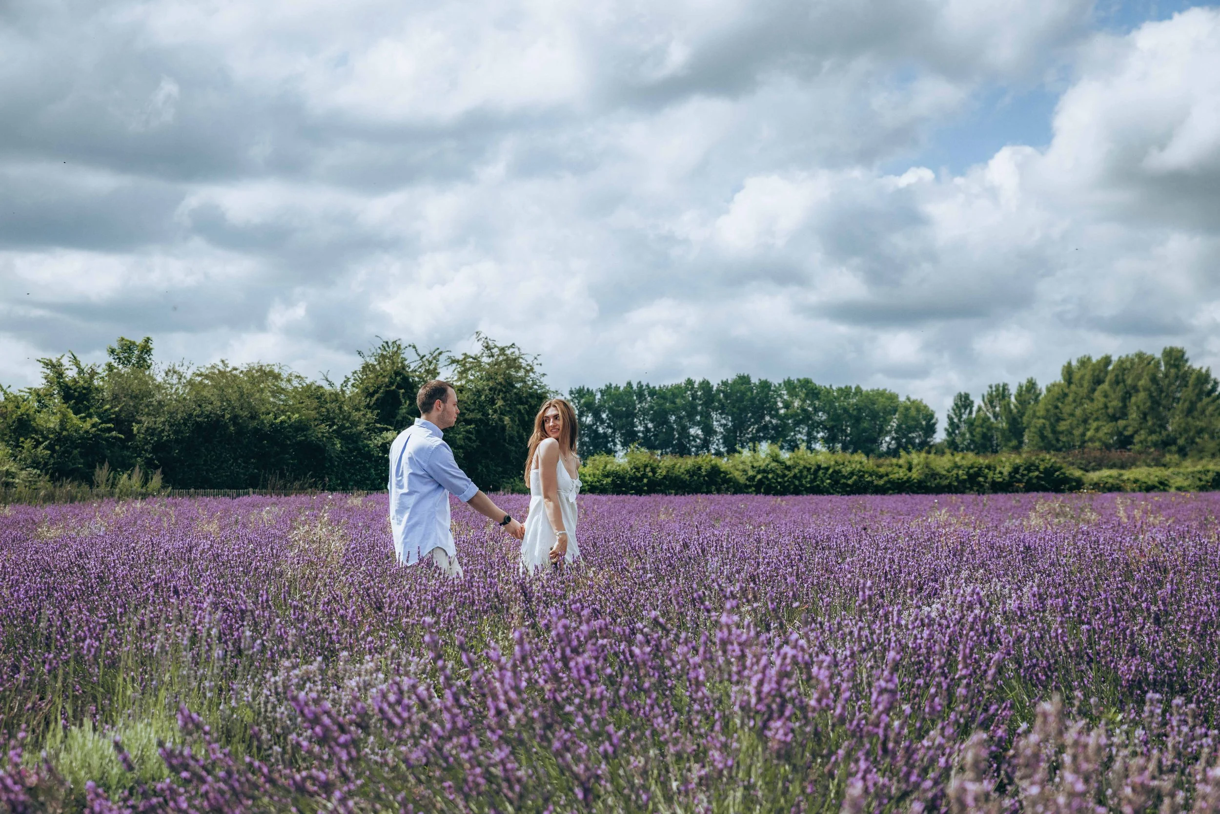 A couple holding hands while she is walking in front and looking back to him in a lavender field at Castle Farm in Kent