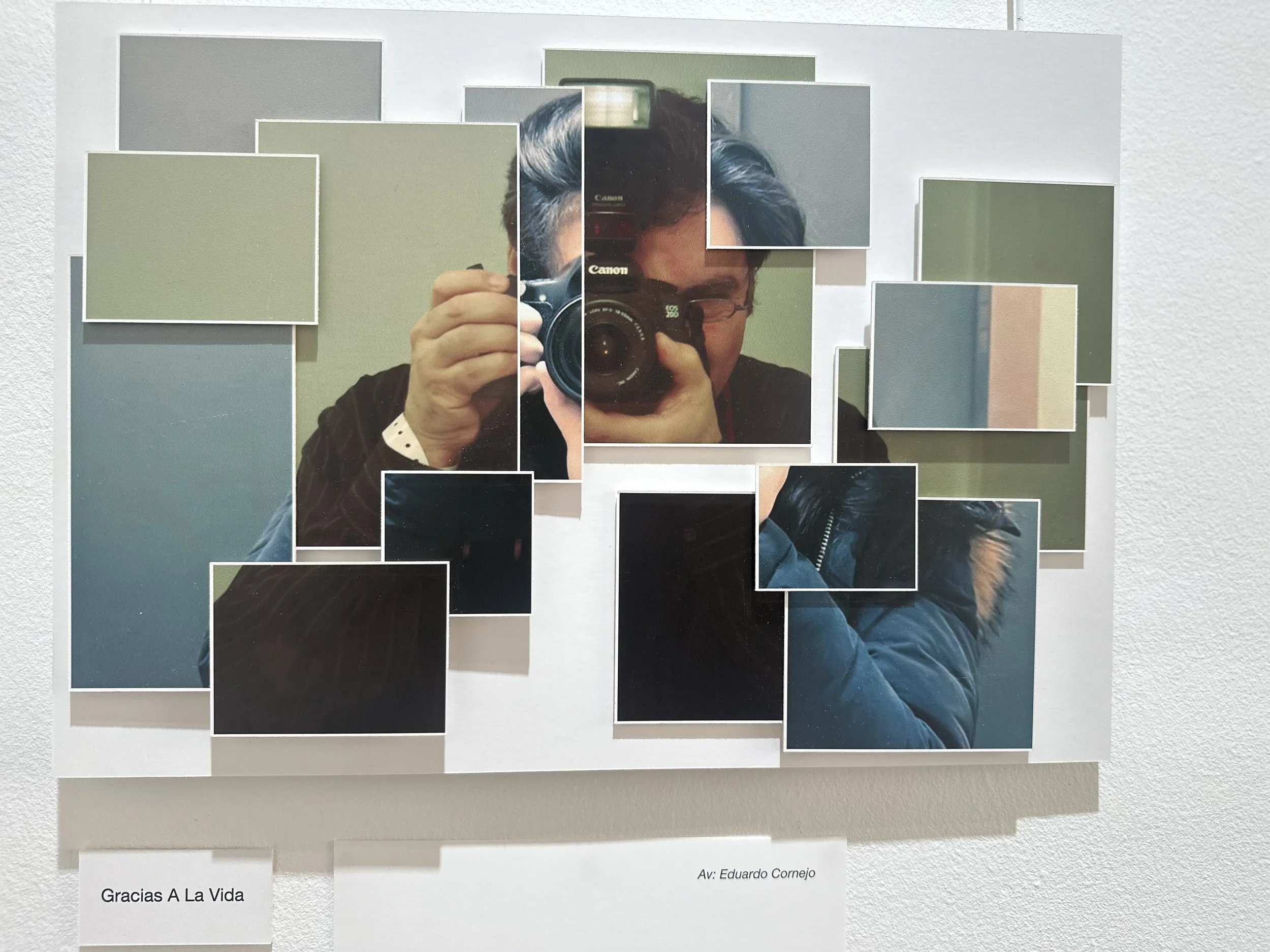 IMG_9347 (kopia).jpg