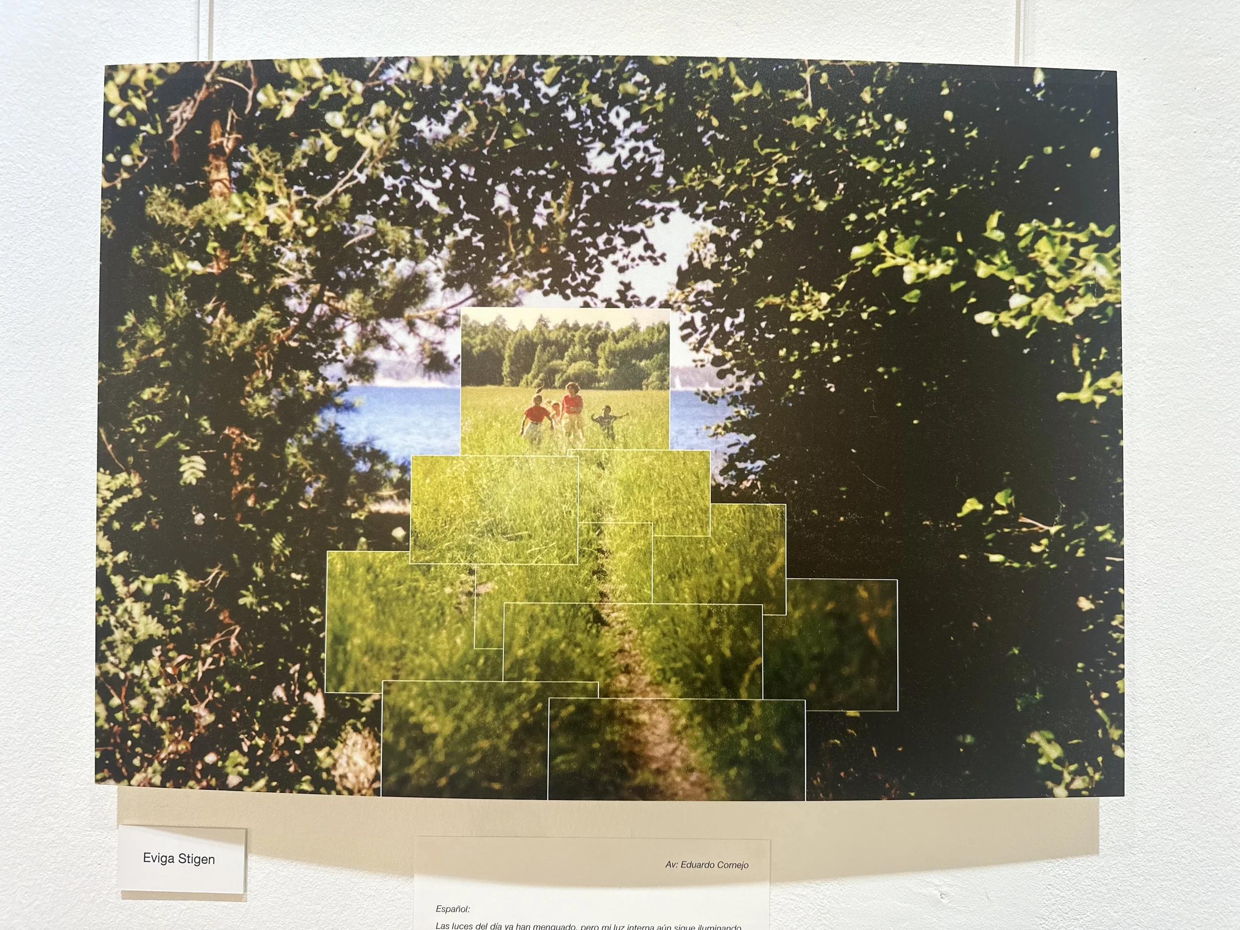 IMG_9345 (kopia).jpg