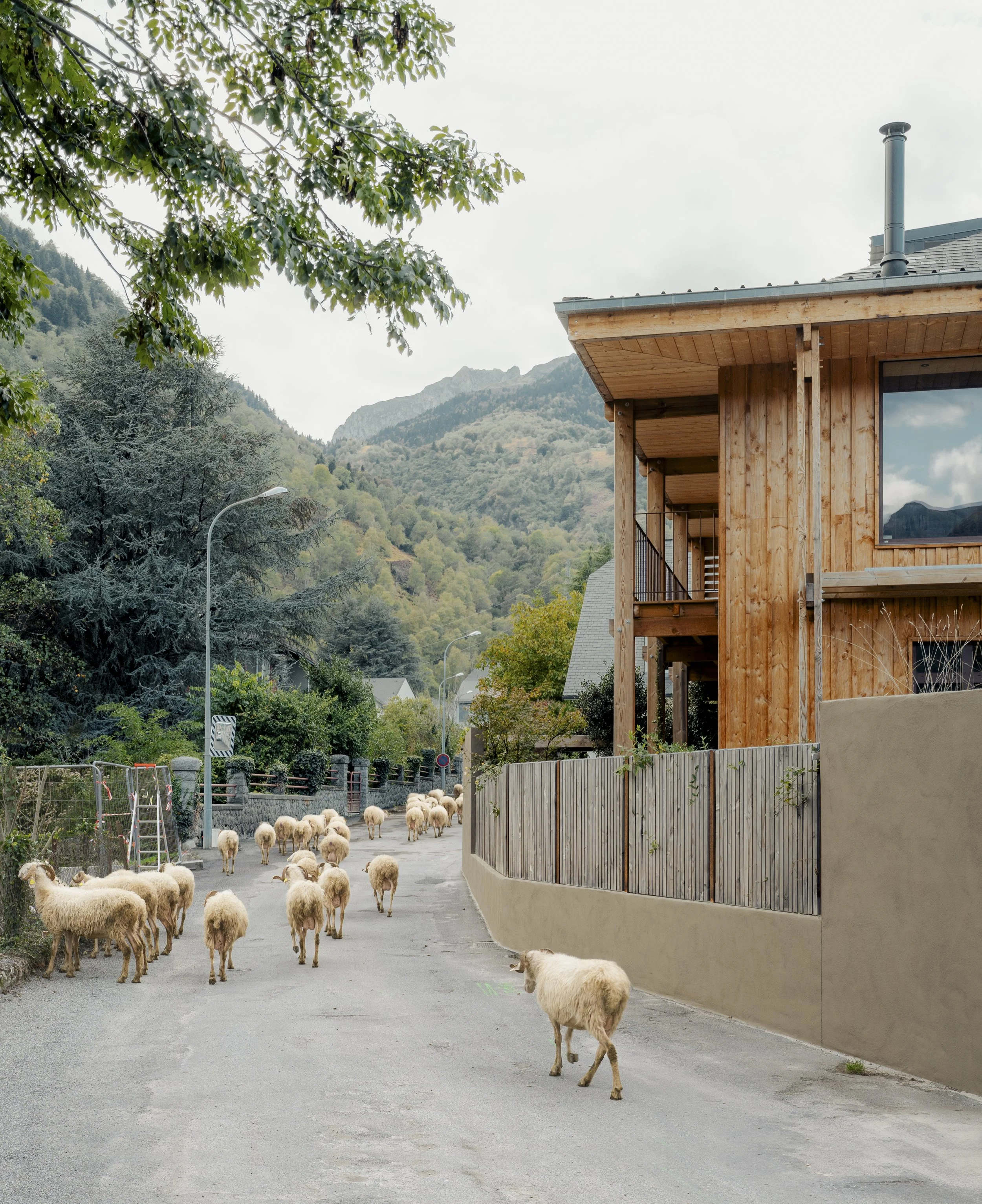LARUNS-MESNIL ARCHITECTURES- (11).jpg