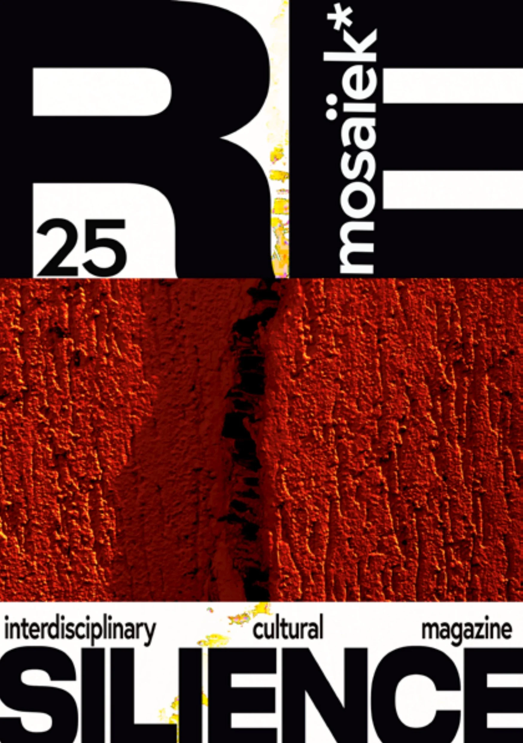 bafbb664-cb66-4d05-b586-a9e6ca893d28_mosaiek_corrected-1.jpg