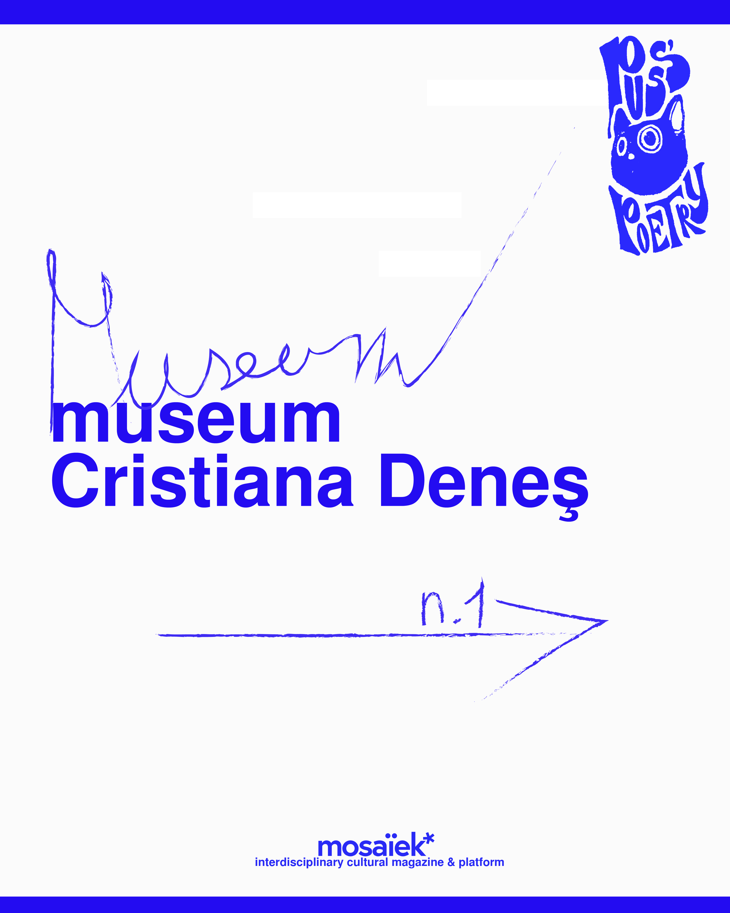 museum |Cristiana Deneş|