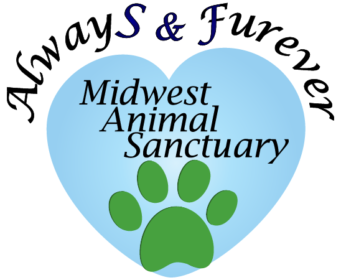 cropped-Always-and-Furever-Main-Logo-1dot5-inch-high-341x280.png