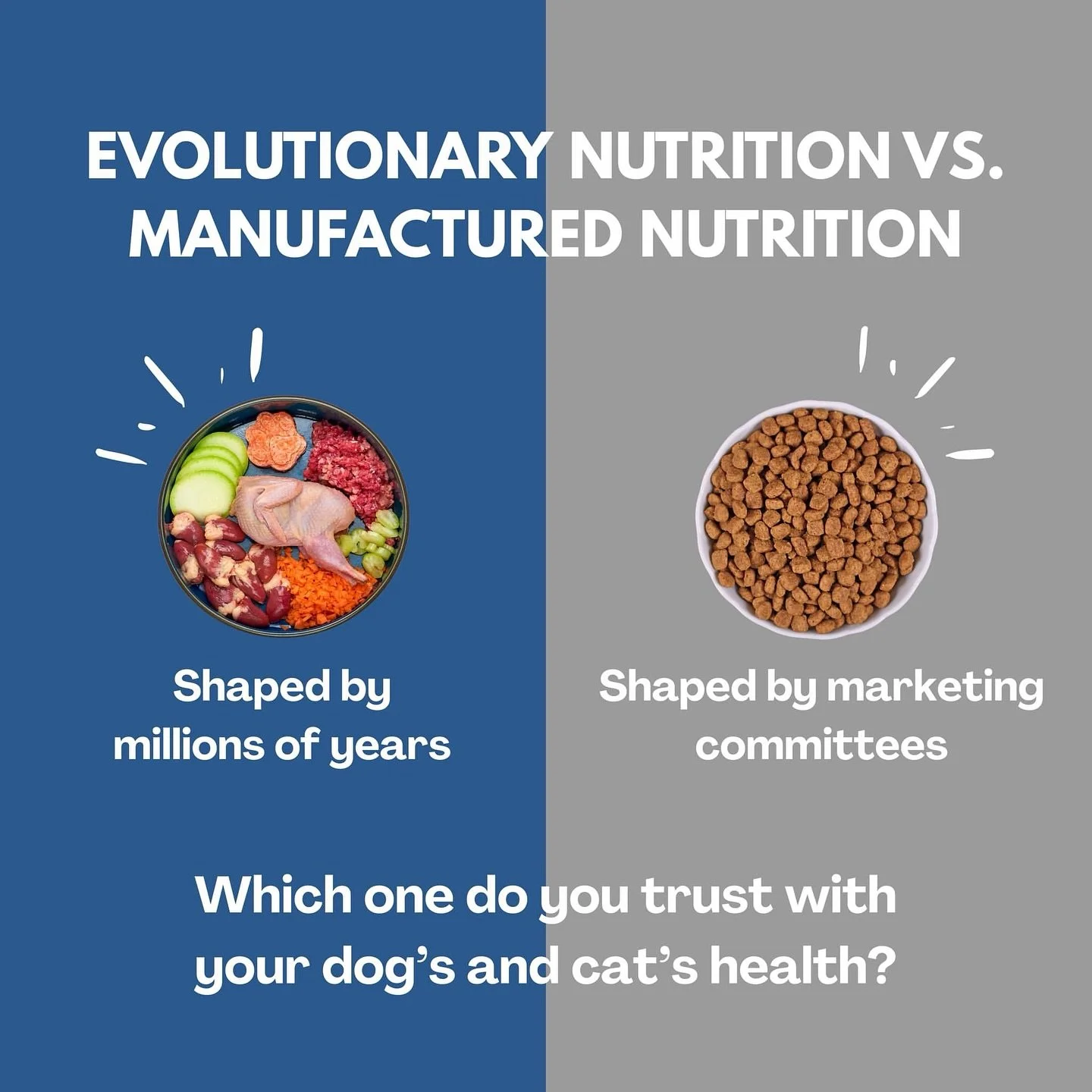 Posted @withregram &bull; @billinghurstinstitute Which one do you trust with your dog&rsquo;s and cat&rsquo;s health?

#rawpetfood #rawfeeding #revolution #doghealth #billinghurstinstitute