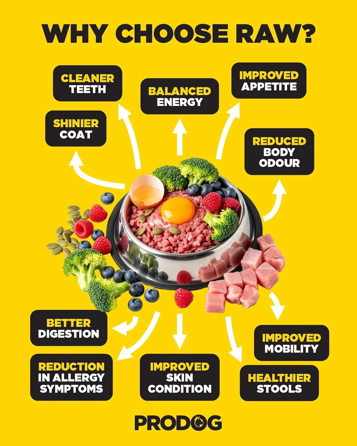 Posted @withregram &bull; @prodograwuk Fresh food is always the right choice💥

#rawdogfood #caninenutritiontips #rawdietdogs #caninehealth #switchtoraw