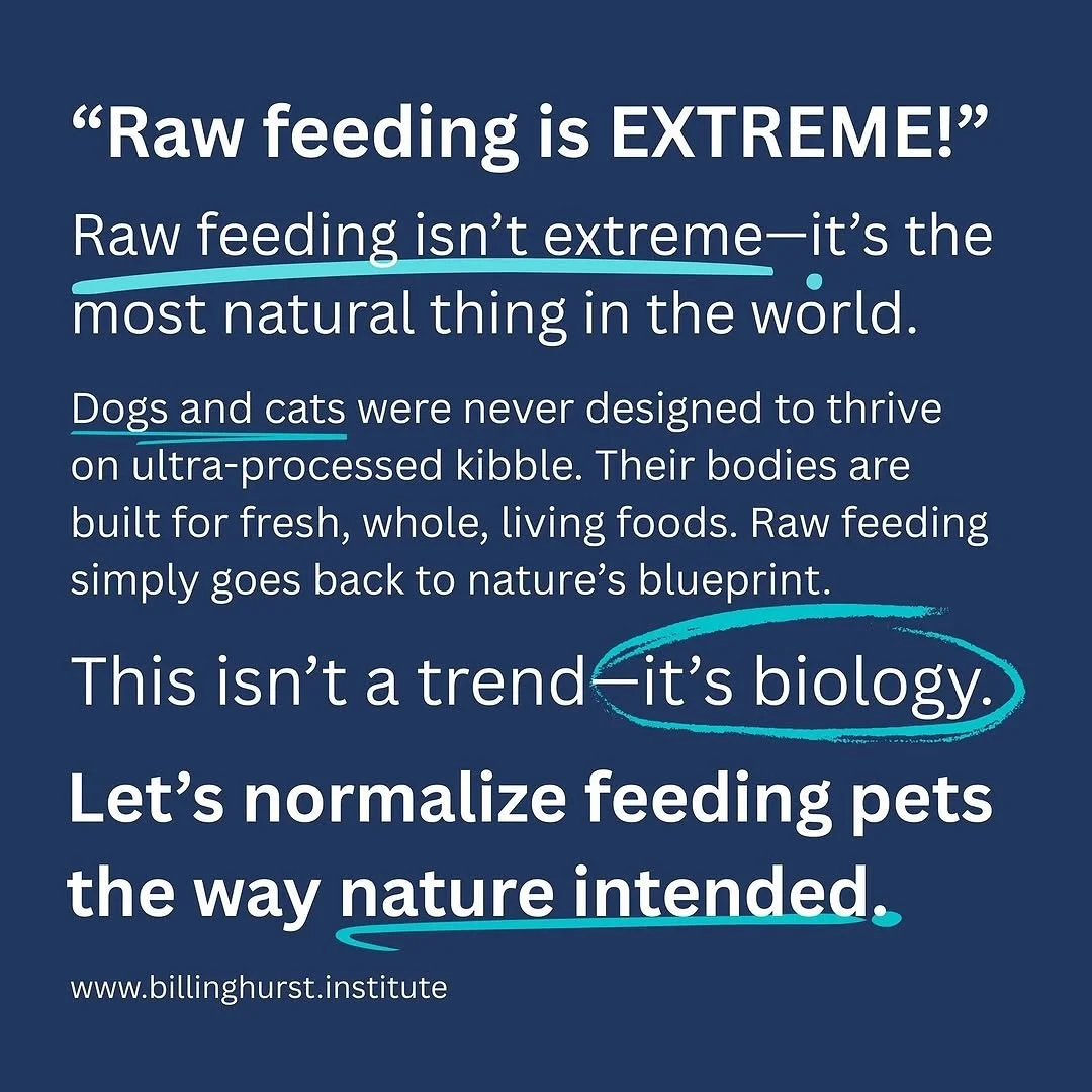 Get @reshare_app &bull; @billinghurstinstitute Raw feeding isn&rsquo;t extreme&mdash;it&rsquo;s the most natural thing in the world.

Visit www.billinghurst.institute.

#rawpetfood #rawfeeding #revolution #doghealth #billinghurstinstitute
