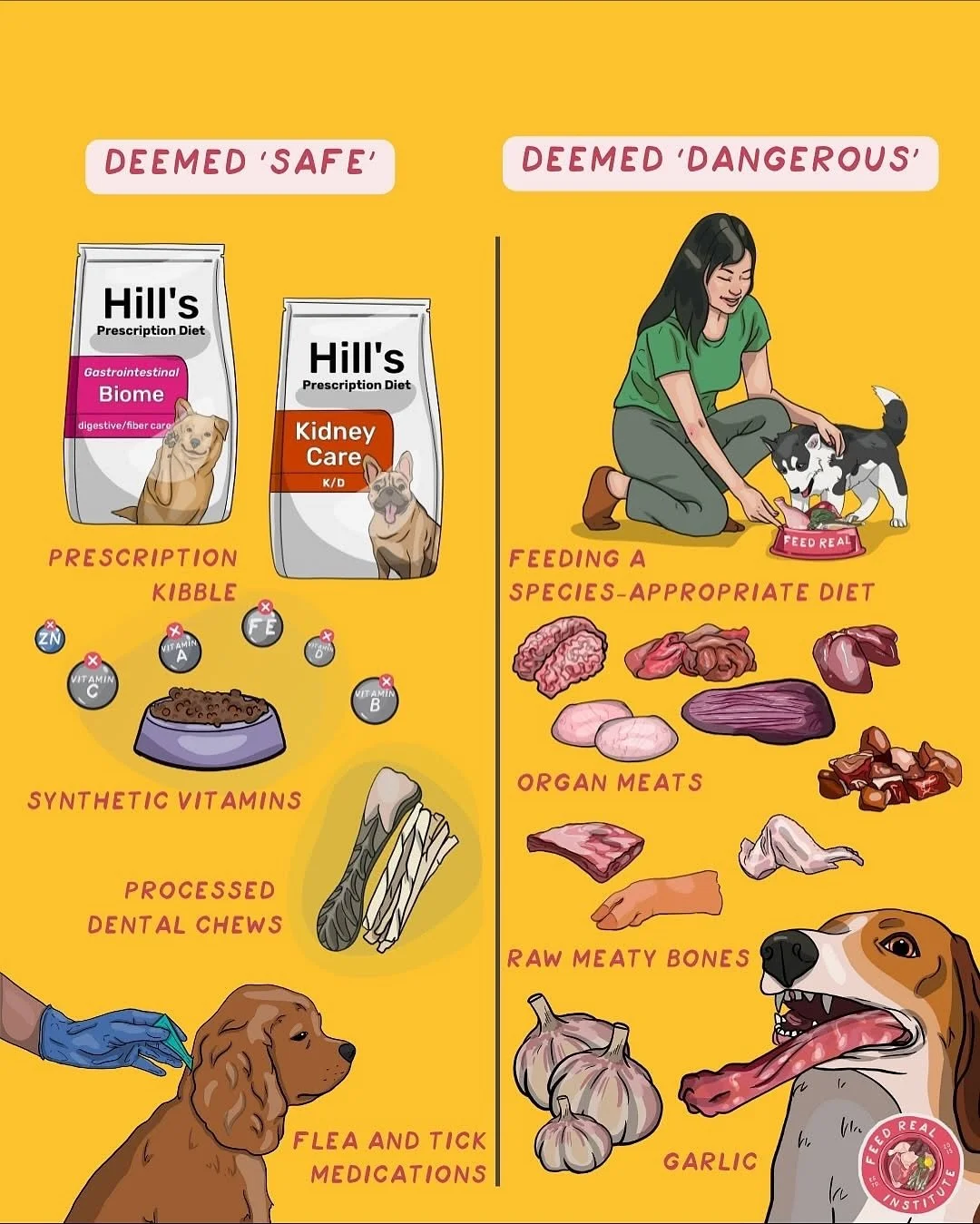 Learn what makes sense!