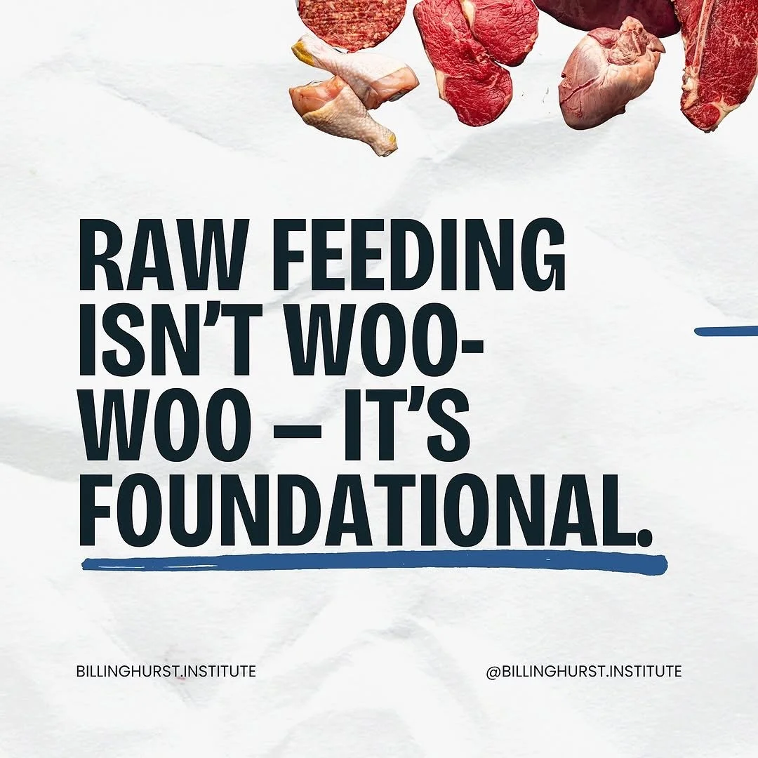 Get @reshare_app &bull; @billinghurstinstitute Raw feeding isn&rsquo;t woo-woo &mdash; it&rsquo;s foundational.

Swipe to learn more 👉

#rawpetfood #rawfeeding #revolution #doghealth ##rawpetfood #rawfeeding #revolution #doghealth ##billinghurstinst