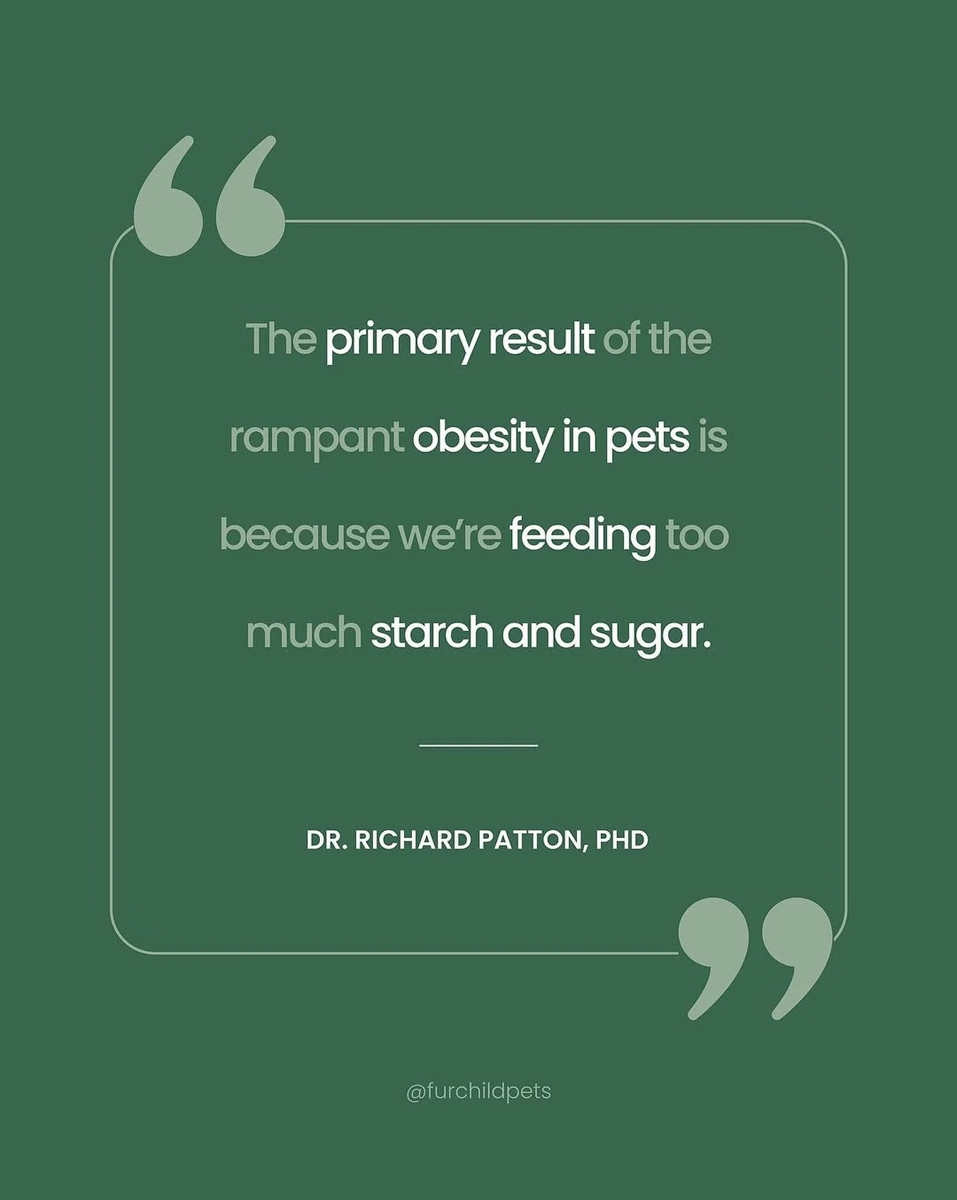 Get @reshare_app &bull; @furchildpets Dogs and cats weren&rsquo;t designed to handle the excessive amounts of refined carbs found in most commercial pet foods (kibble, dry food).

Their bodies are built for fresh, whole, living foods. Raw feeding sim