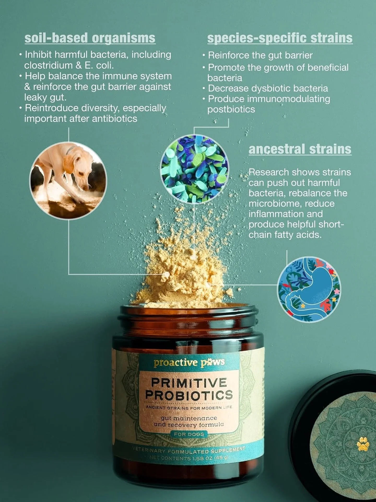 Get @reshare_app &bull; @proactivepawsproducts The Future of Pet Probiotics Starts Here&hellip;

Most pet probiotics🦠 on the market are human strains, never adapted to the metabolic, immune, or thermal environment of dogs. They&rsquo;re not designed