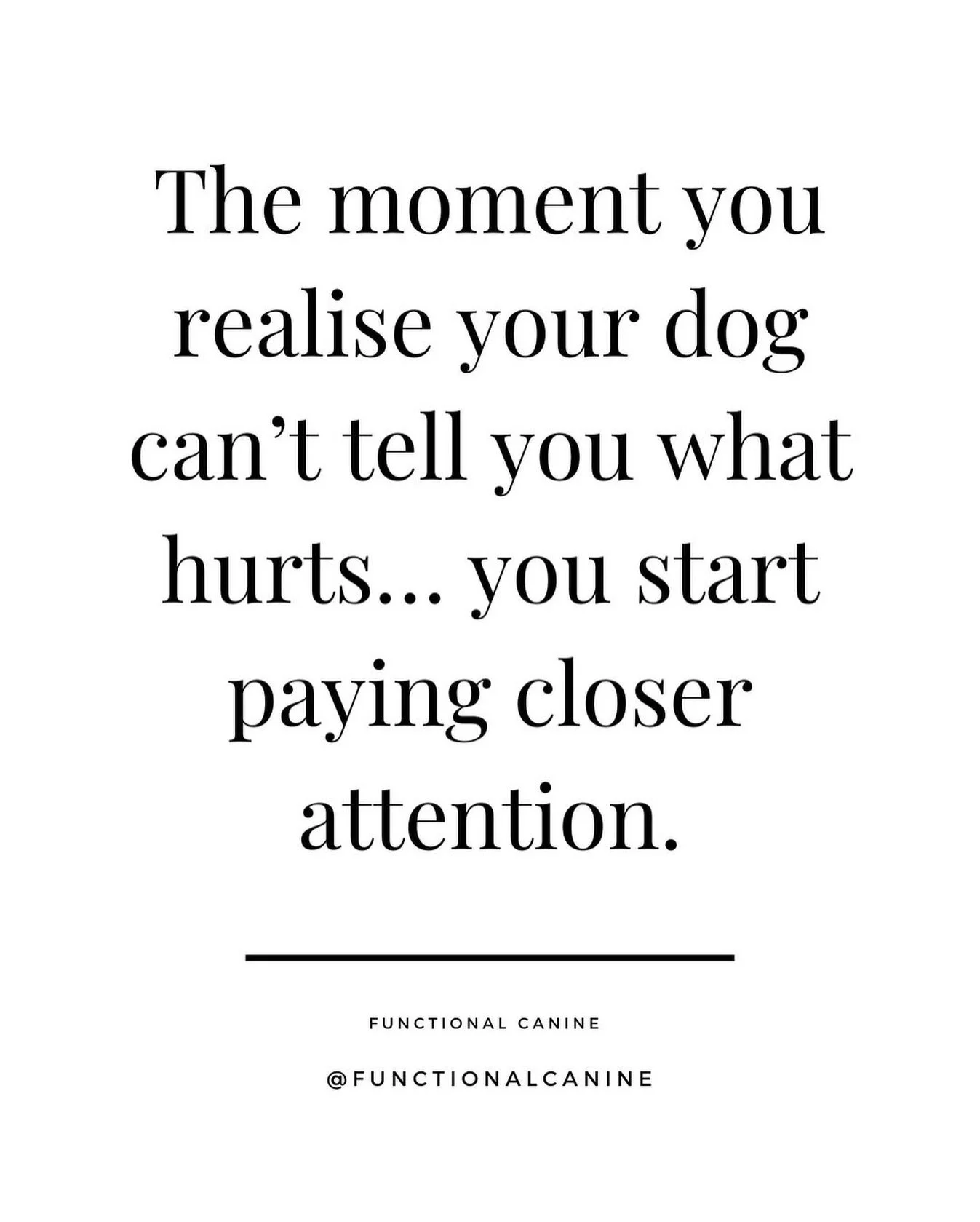 Get @reshare_app &bull; @functionalcanine Dogs are stoic creatures. They seldom complain and rarely do they tell you when something hurts. Often they just adapt and stay quiet.

Pain often shows up in small ways first:
* Hesitating to jump on the cou