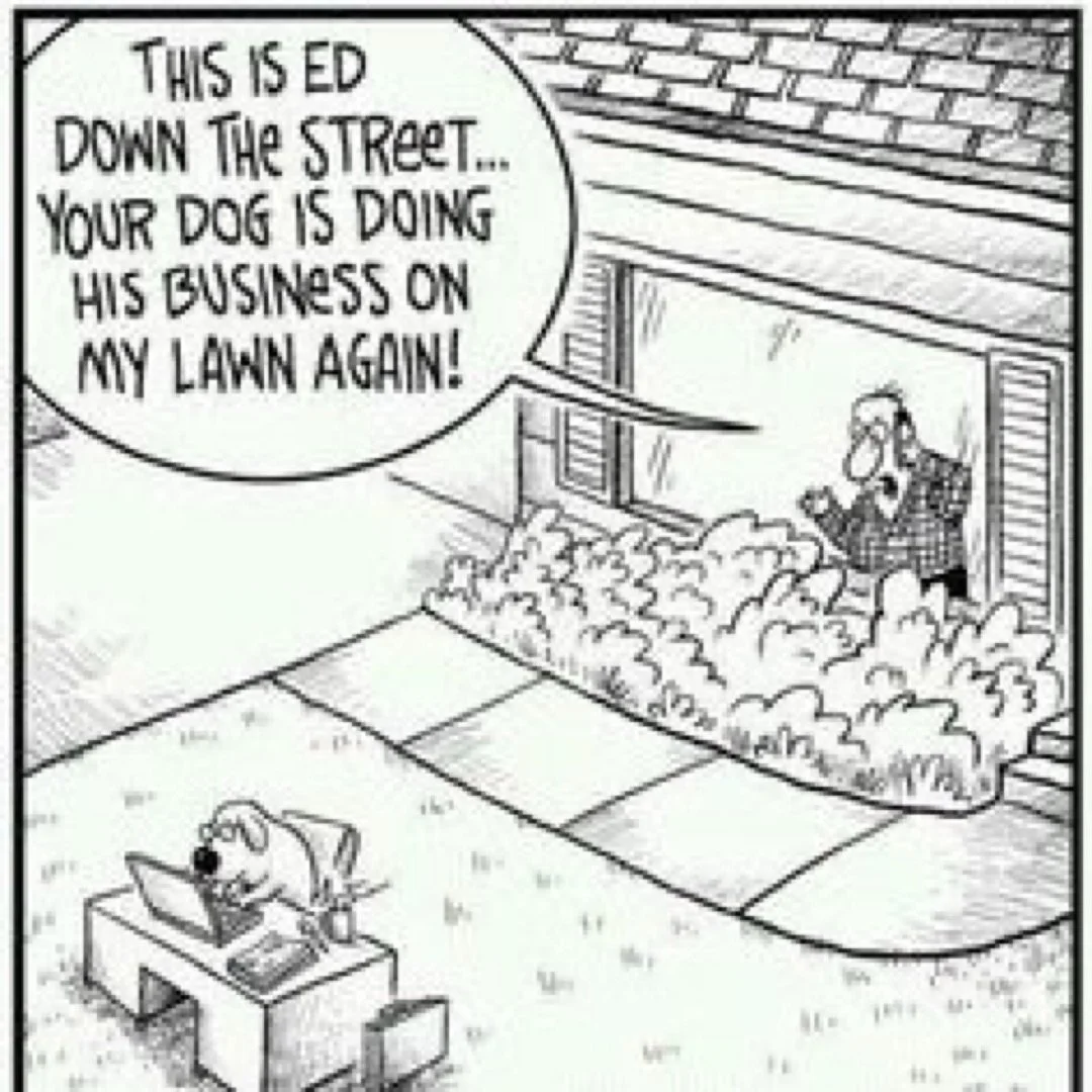 Get @reshare_app &bull; @carnirawsa #FridayFunny 

&mdash;&mdash;&mdash;&mdash;&mdash;&mdash;&mdash;
For more info contact us on
www.carniraw.co.za
info@carniraw.co.za
083 305 6798

#feedtothrive #foodnotfeed #feedreal #wefeedraw rawfeed rawfeeding
r