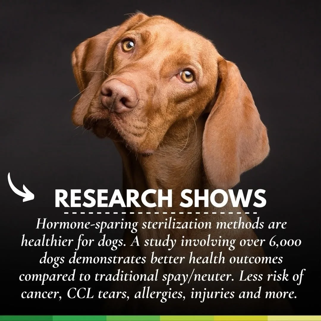Get @reshare_app &bull; @drpeterdobias I want to be clear: I am NOT discounting the serious issues we have with dog overpopulation and dog homelessness. I am very grateful to all the dedicated and hardworking people in shelters and rescues.

What I h