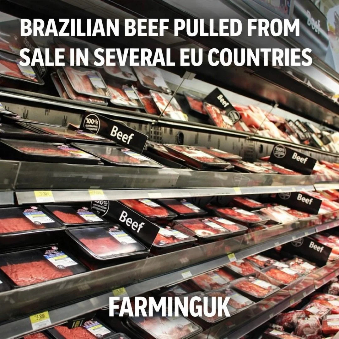 Get @reshare_app &bull; @farming.uk 🚨 Consumers have been warned to &ldquo;beware&rdquo; after Brazilian beef was recalled across Europe following the discovery of banned hormones

READ MORE: https://www.farminguk.com/news/banned-hormones-found-in-b