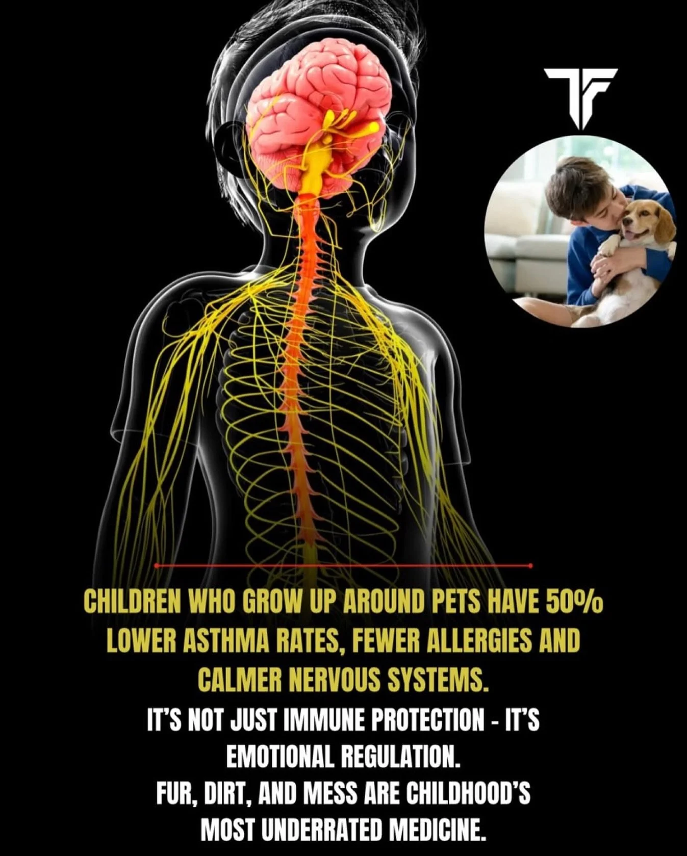 Get @reshare_app &bull; @thefarmacyreal Children with pets often have much stronger immune systems, fewer allergies and calmer nervous systems due to the &ldquo;Hygiene Hypothesis&rdquo;, where early exposure to diverse microbes from pets &ldquo;trai