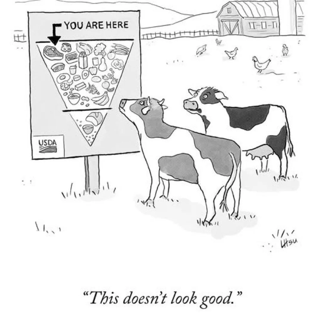 Get @reshare_app &bull; @grassbased People send me things...