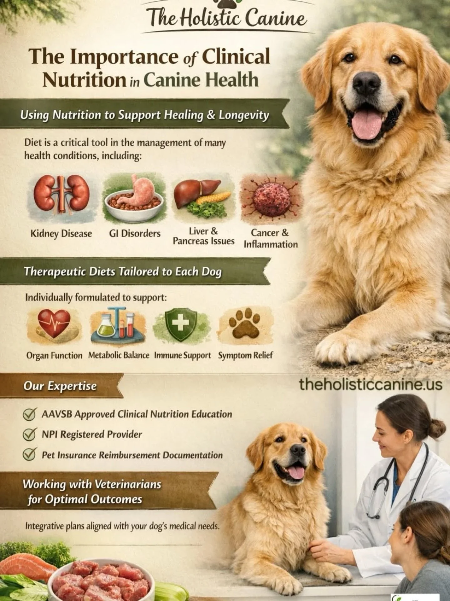 Get @reshare_app &bull; @the_holistic_canine ⚕️Why Clinical Nutrition Matters in Canine Health

Nutrition is not simply about feeding&mdash;it is a critical clinical tool in the management of disease.

In many medical conditions, including gastrointe