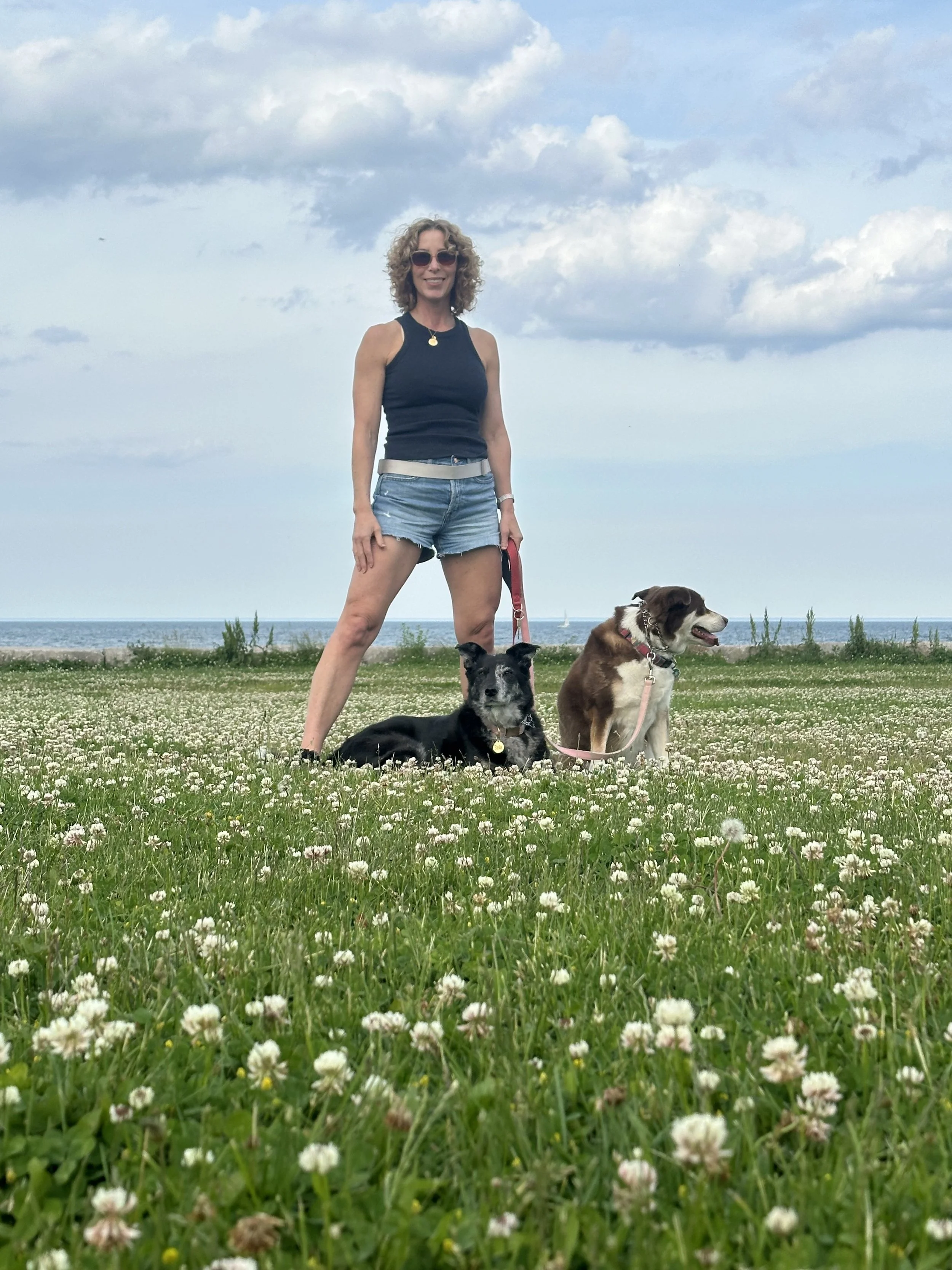 Optimize Your Post-Menopause Journey