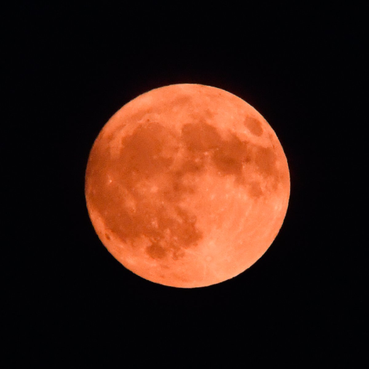 The Moon shines orange above Northwestern Medicine Field during a Kane County Cougars game on July 29, 2026 in Geneva, Illinois. (Jason Isele/Isele Photography)