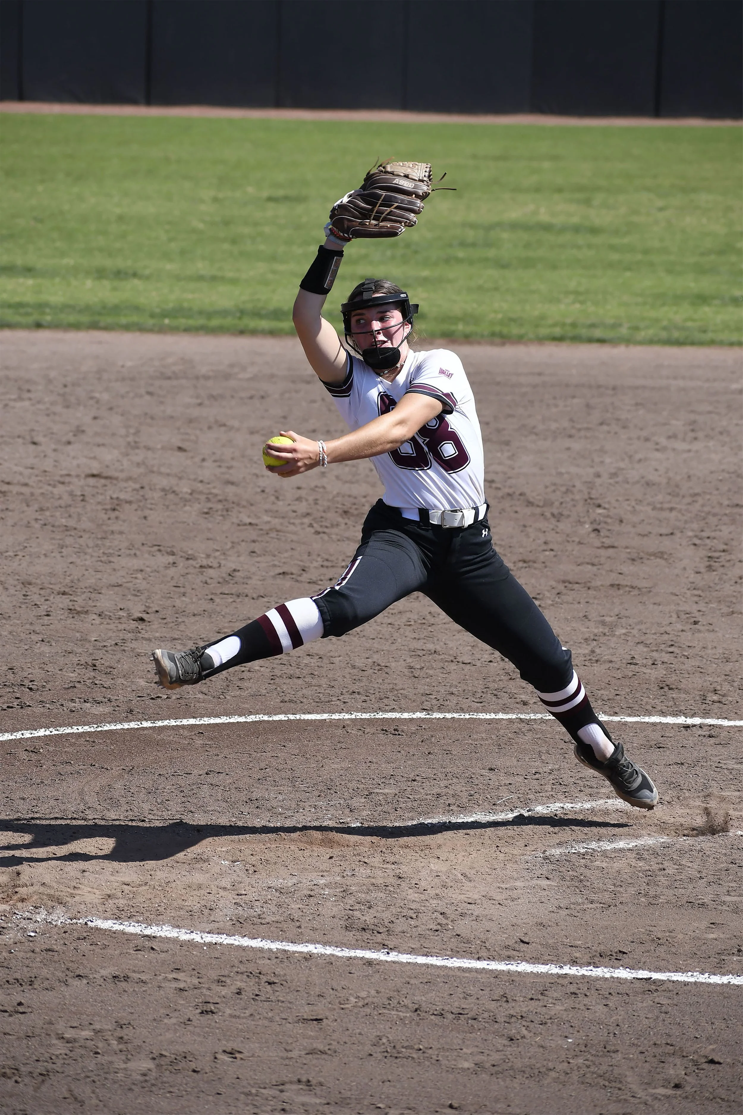 "A Decisive SIU Softball Moment" - 2024 Cedarhurst Center For The Arts Exhibition: Open Theme