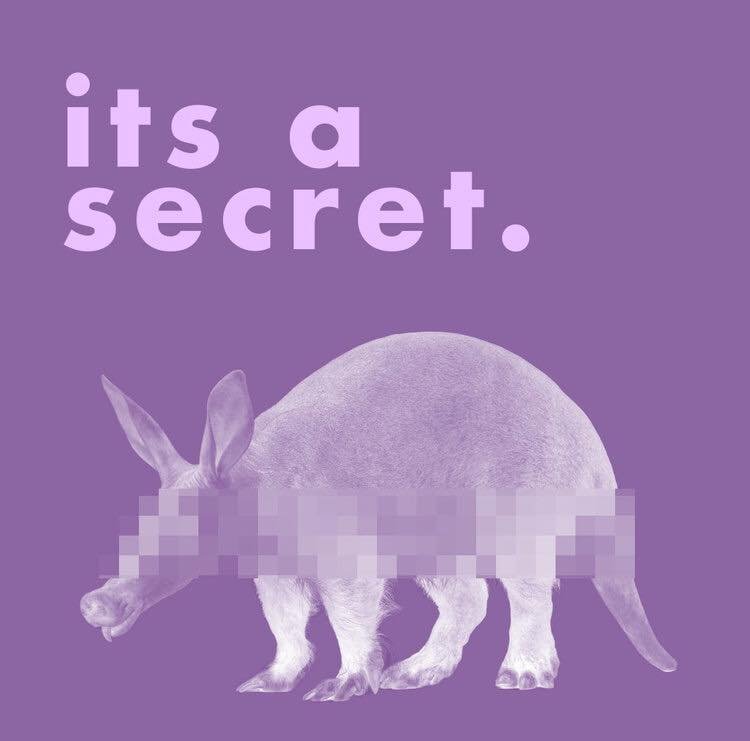 SecretAardvark1.jpeg