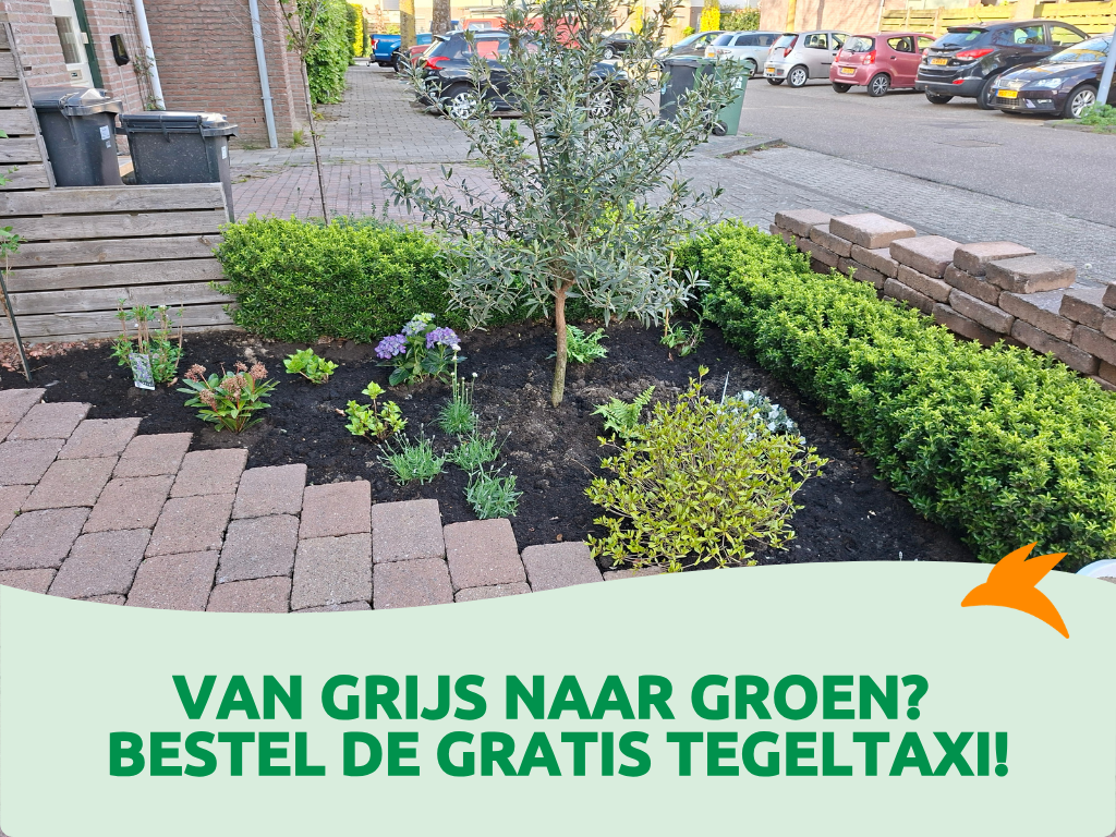 Tegeltaxi Ophaalronde