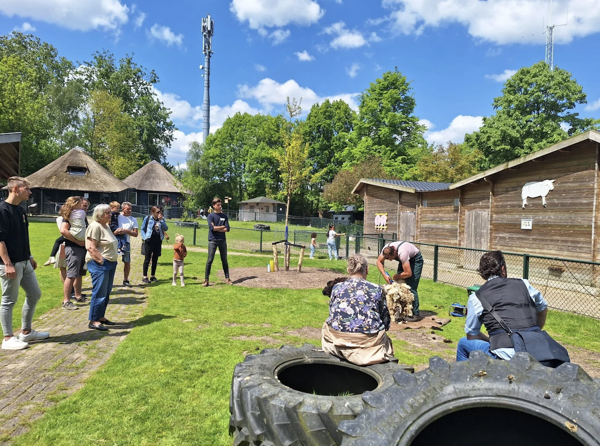 Foto van mensen bij de kinderboerderij op een zonnige dag