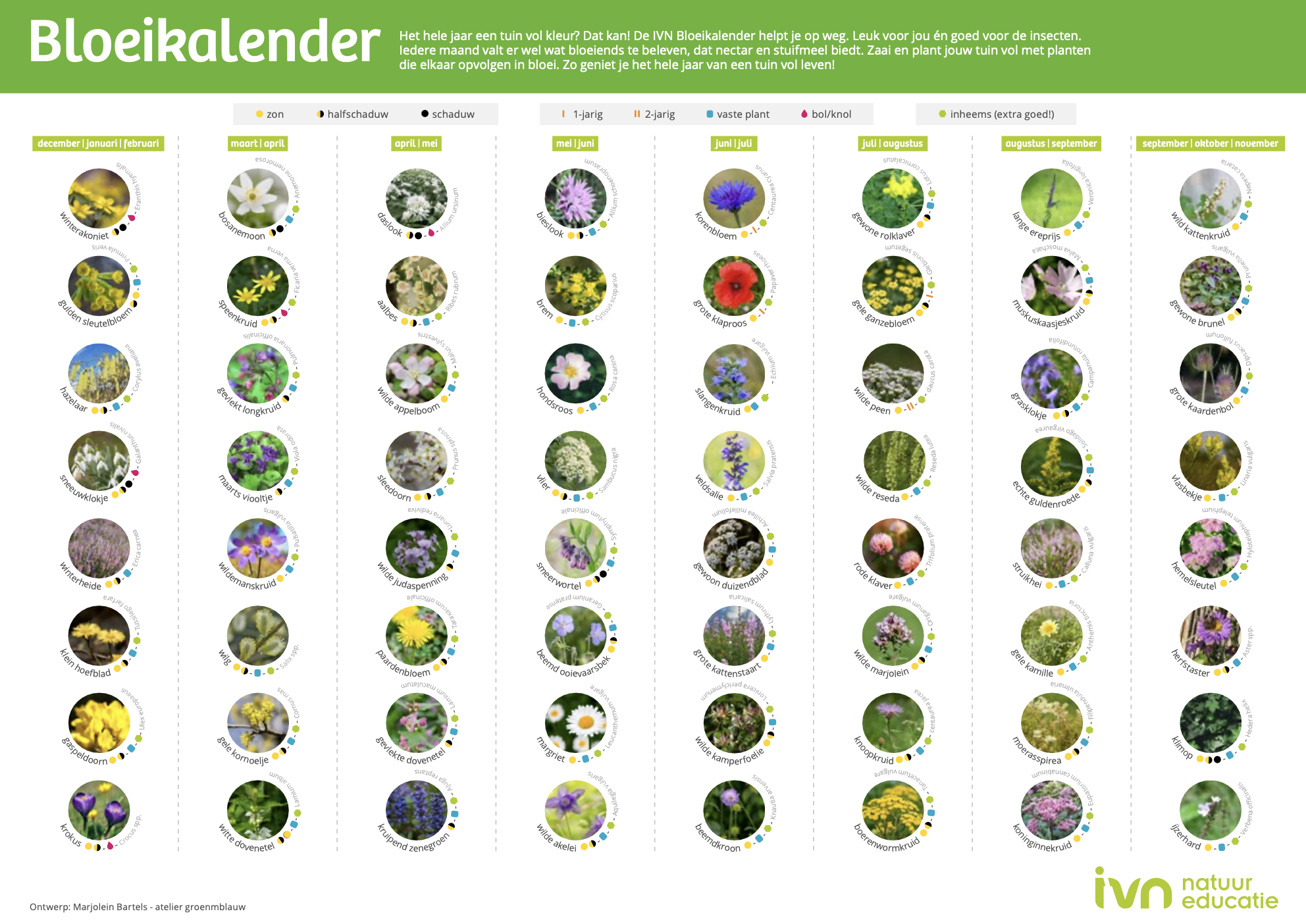 De bloeikalender van IVN