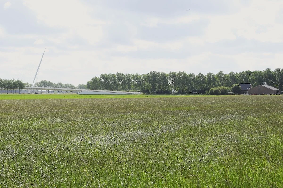 De boerderij van Bijlsma met een groen veld