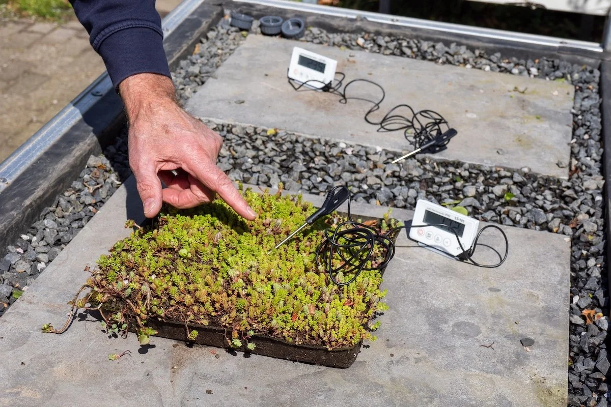 man wijst temperatuurverschil aan tussen groen en tegels