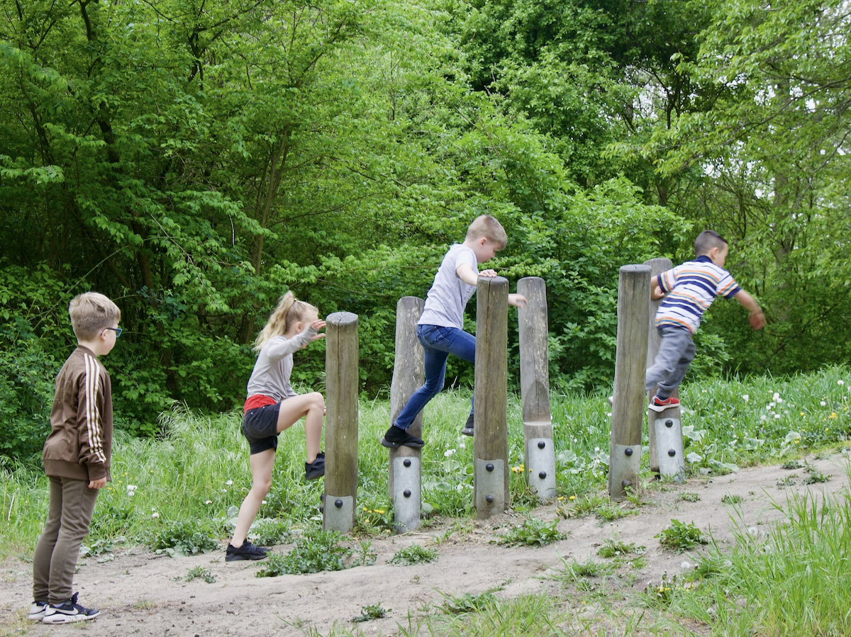 Kinderen spelen op houten palen in een bossig gebied