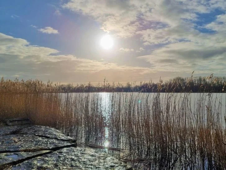 Haarlemmermeerse bos in de winter, lage winterzon over het meer