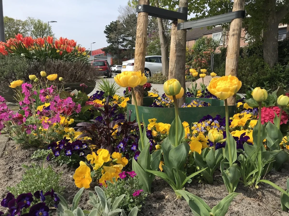Een vrolijke boomspiegel met tulpen