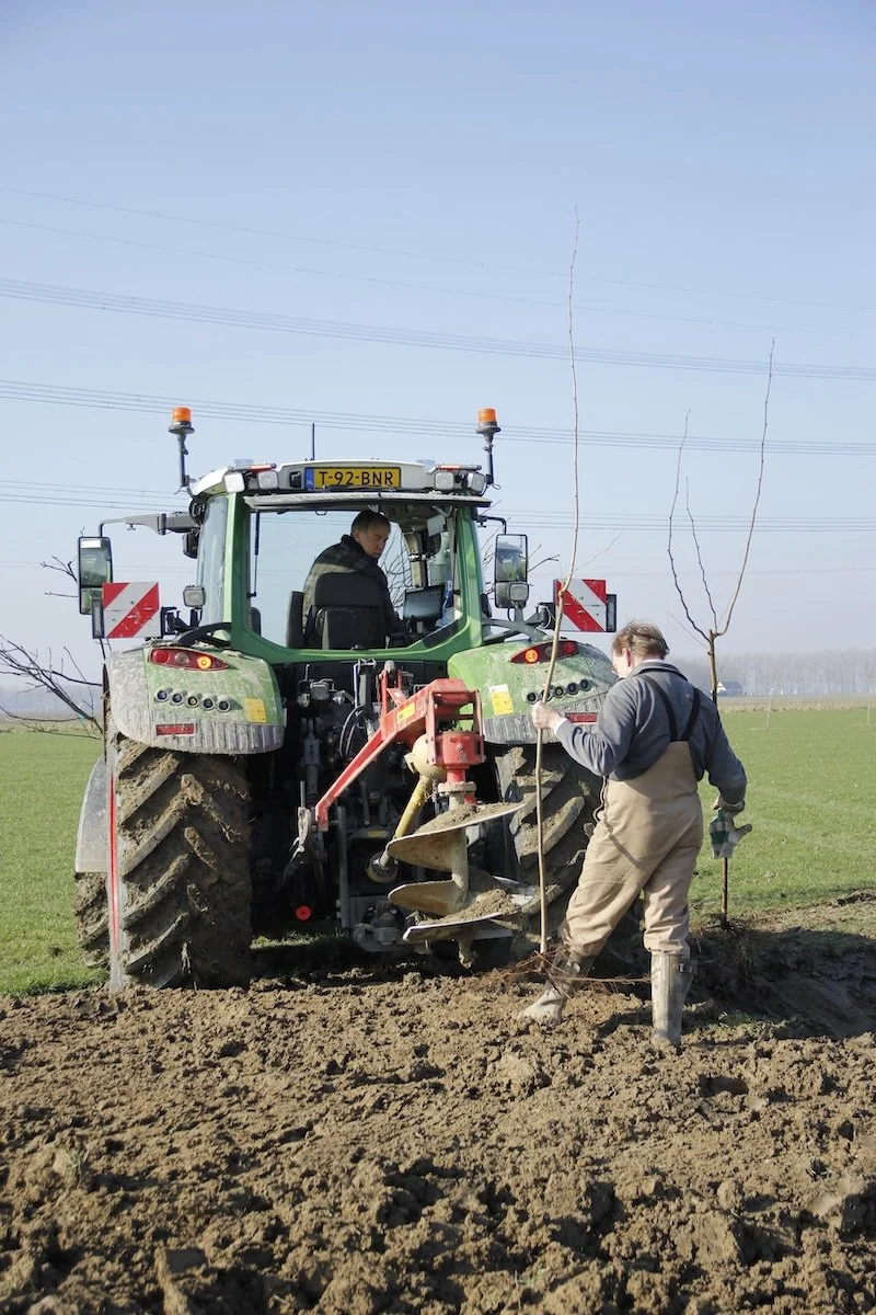 Tonie Gijzenberg en Jan van Oossanen planten bomen