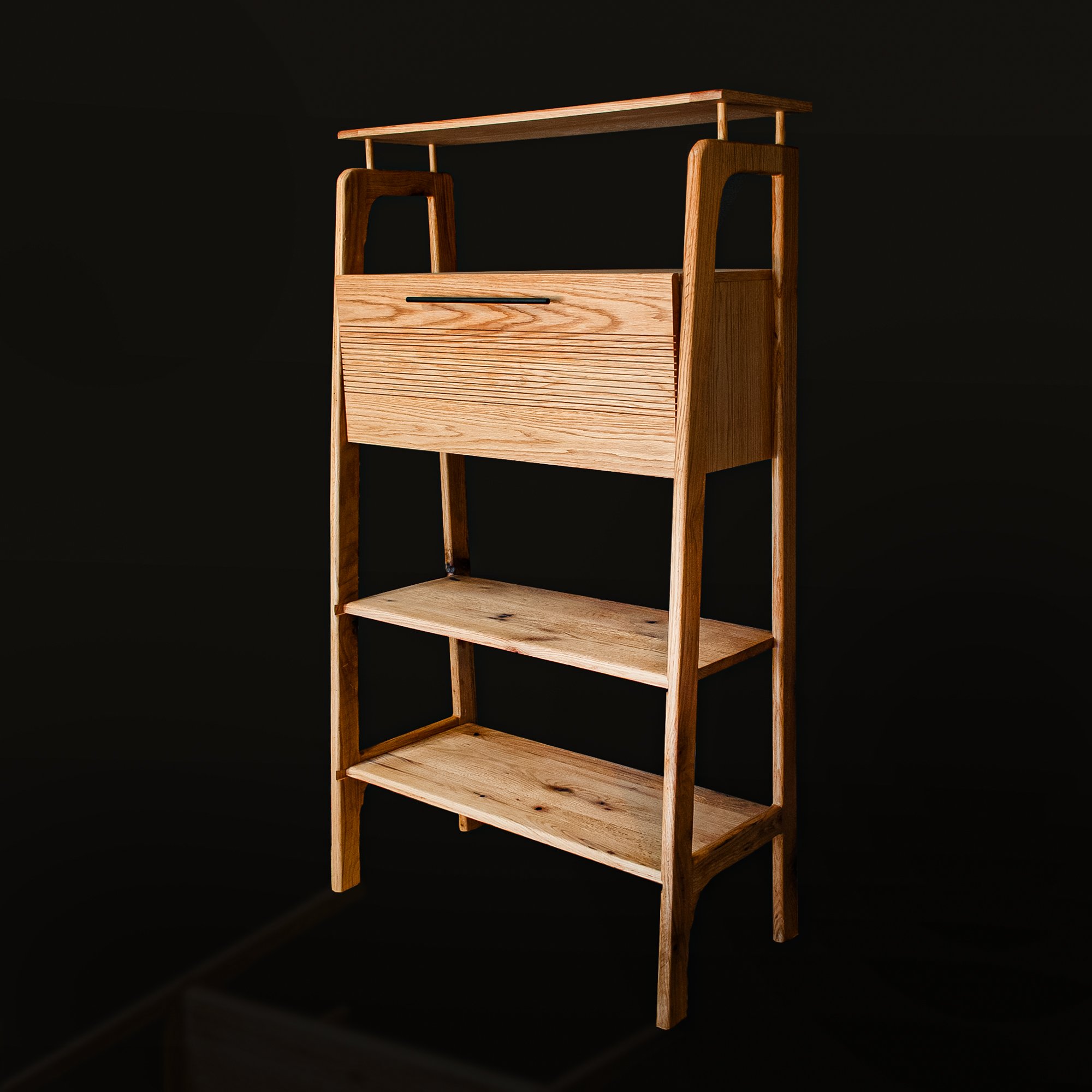 Bookcase-Bar-Balkman-1.jpg
