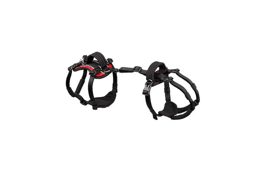 A black and red dog harness with adjustable straps and a leash connector.