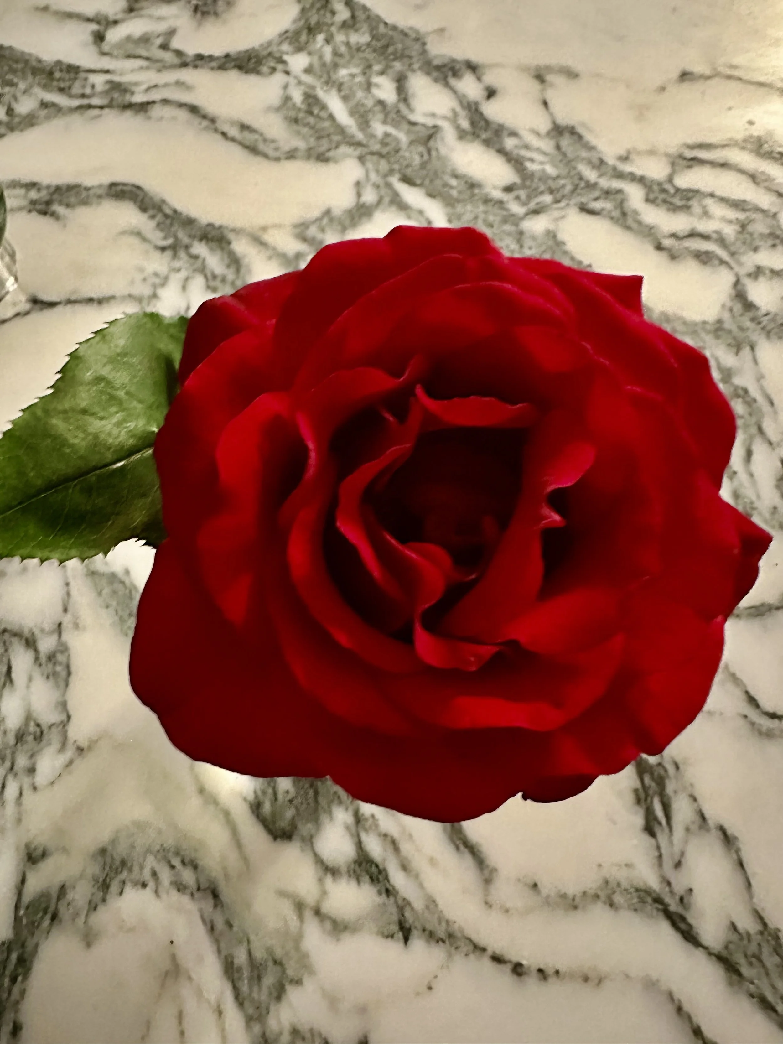 Where Will You Find Beauty Today?