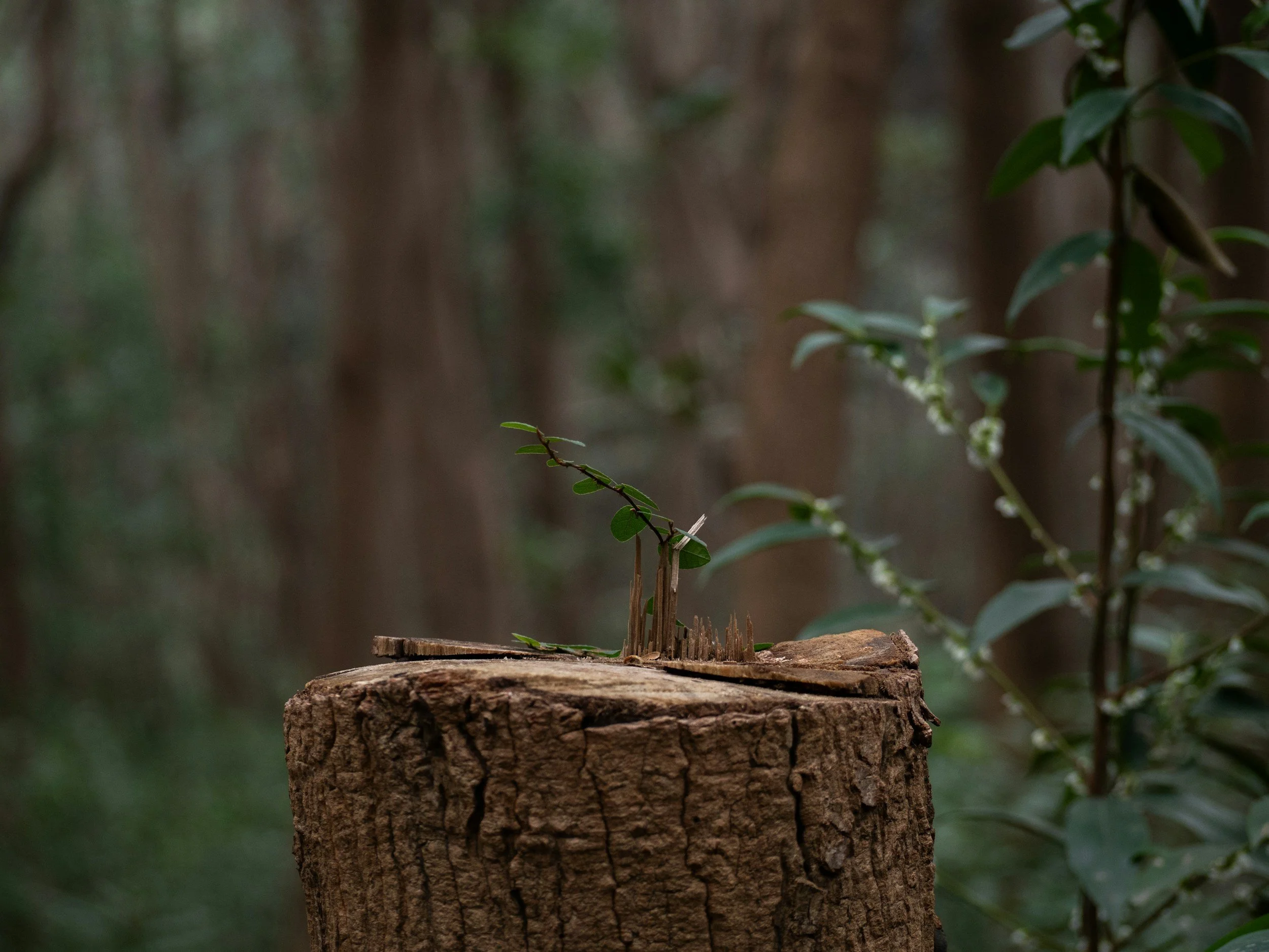 Reframing Obstacles