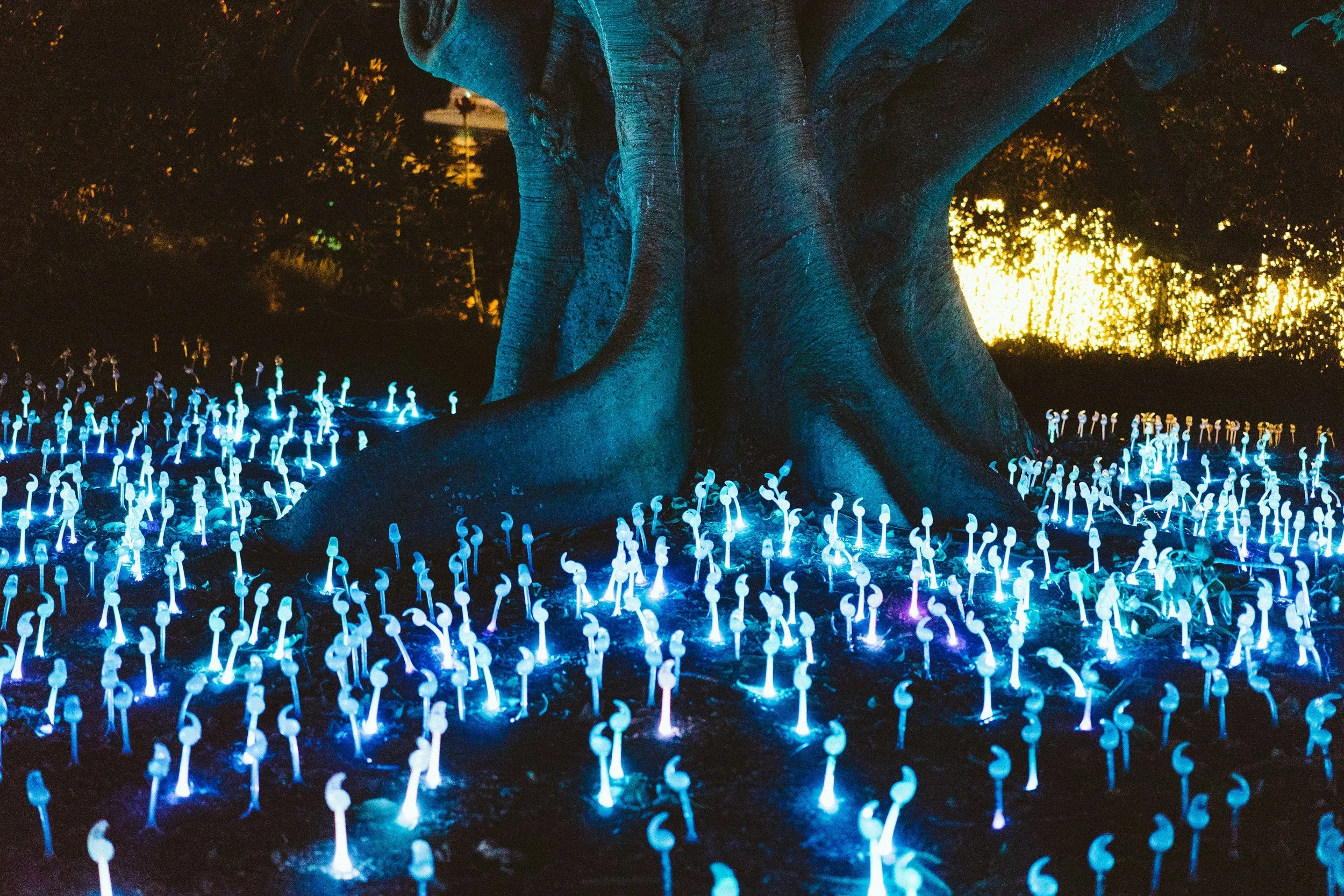 Remembering You’re Not Alone