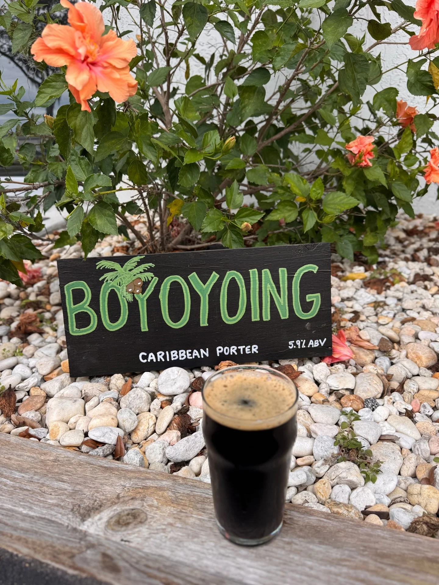 We have a new beer on tap! Let this one transport you to warmer days ☀️

Boyoyoing is Caribbean Porter carrying robust milk chocolate flavor with light tropical undertones, reminiscent of island style dark ales and sports a dry clean finish 🌴

Come 