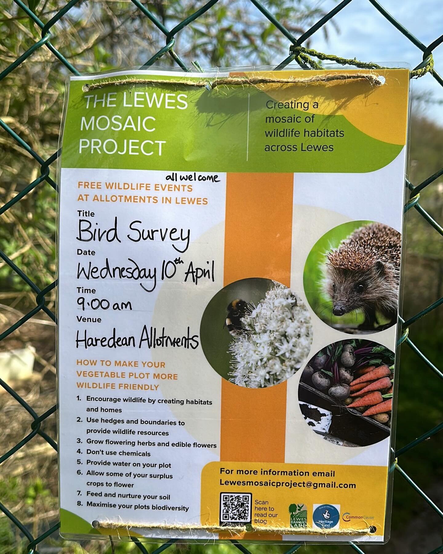 If you have an allotment and are interested in birds please join us for a bird survey at Haredean allotments, Lewes, this Wednesday #allotments #birdsurvey #biodiversity #thelewesmosaicproject #lewesrailwayland